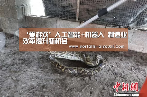 爱游戏官网