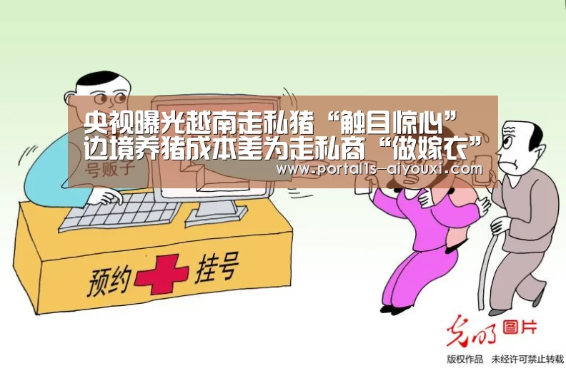 央视曝光越南走私猪“触目惊心” 边境养猪成本差为走私商“做嫁衣”:爱游戏app(图1) 爱游戏